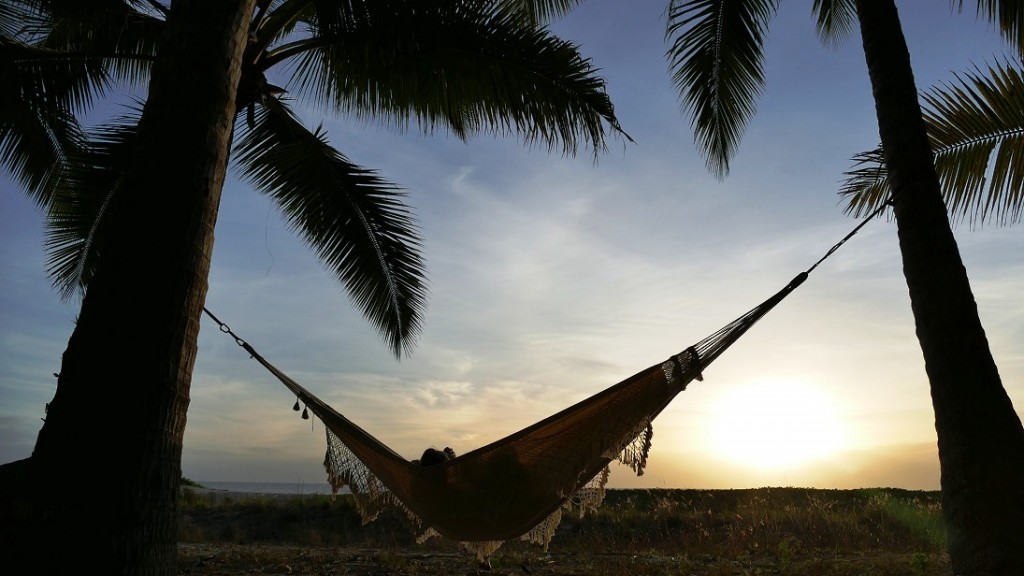 Hammock Yorkeys Knob 2